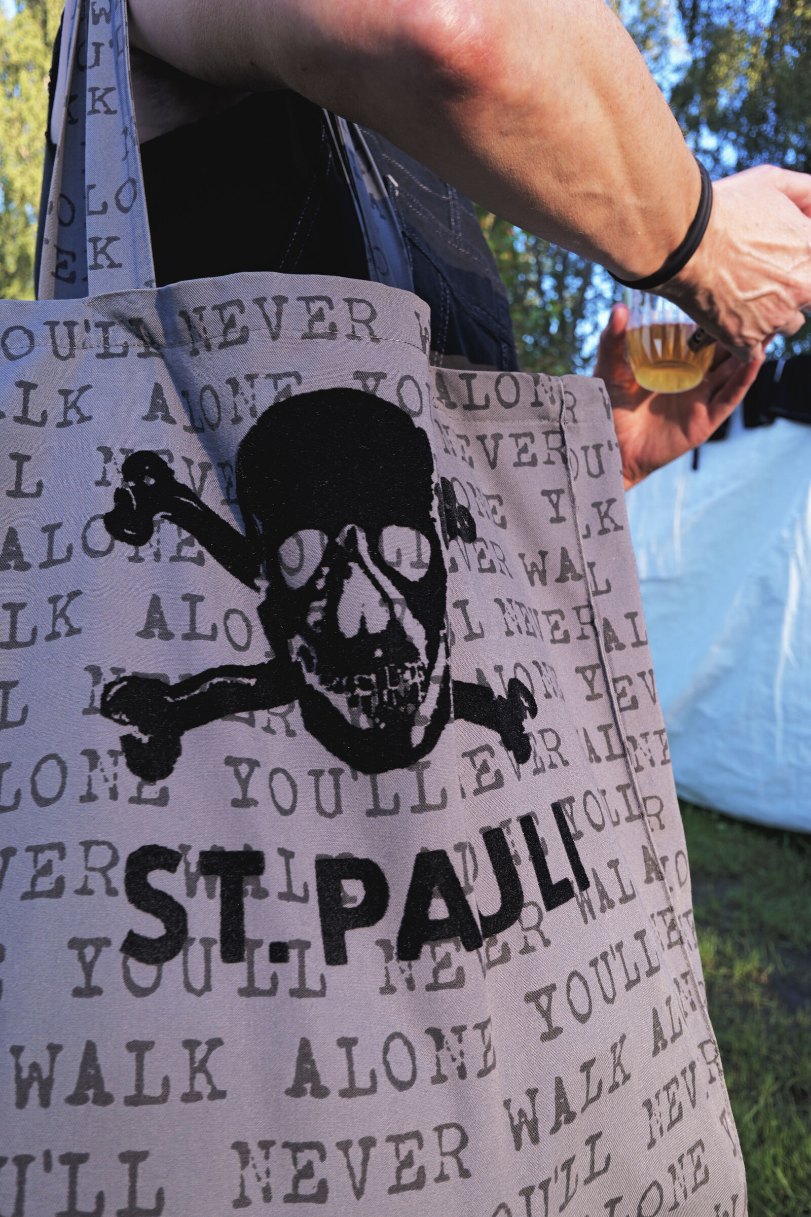 Panasonic Lumix DC-S9 sample photo. Skull bag photography