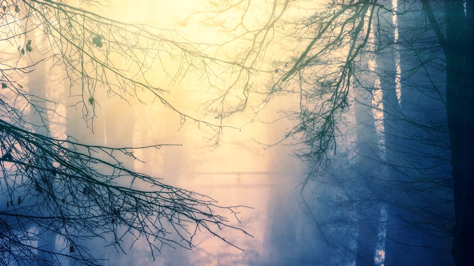 Sony a7 + Sony DT 50mm F1.8 SAM sample photo. Nature, dawn, winter photography