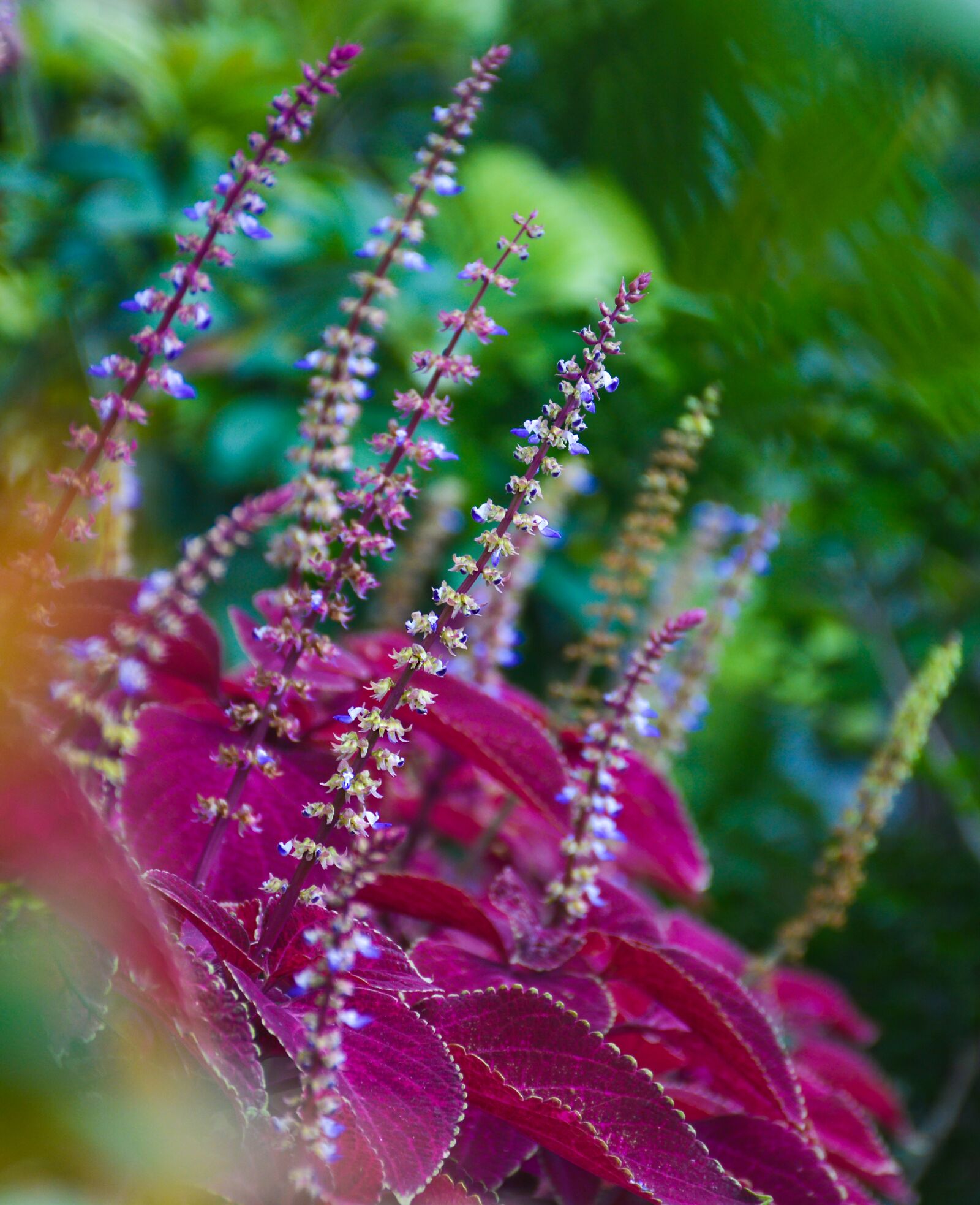 Nikon D7100 sample photo. Flower, red, floral photography