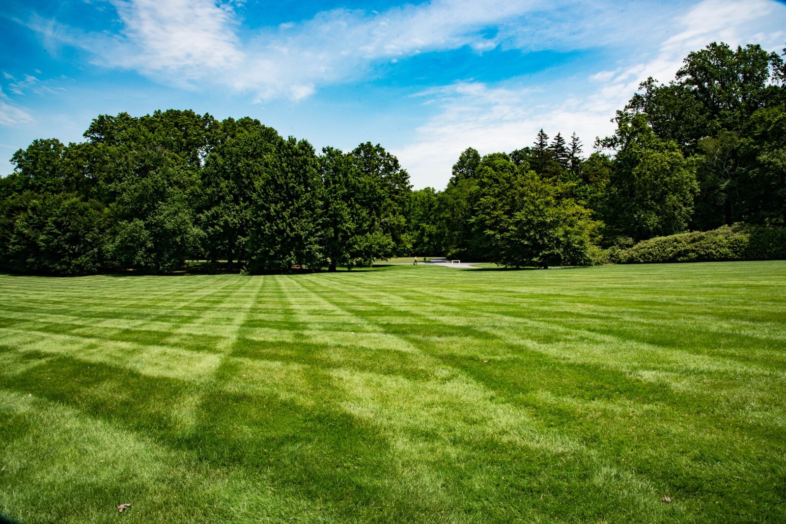 Nikon D750 sample photo. Grass, landscape, hayfield photography