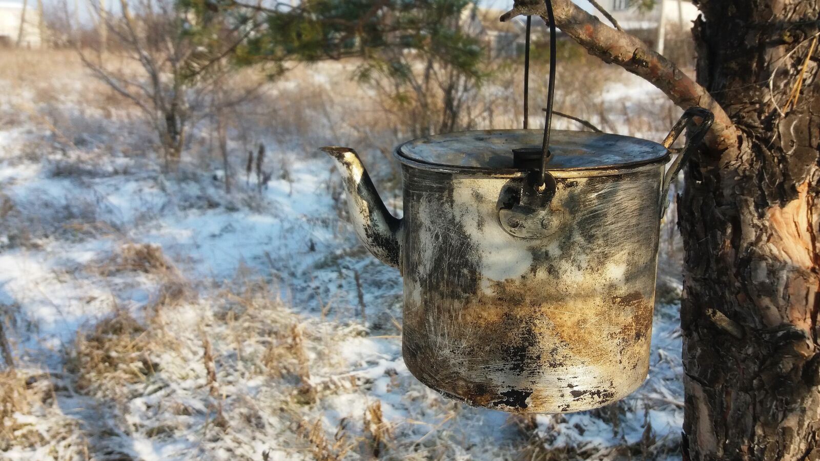 Samsung Galaxy J5(2016) sample photo. Winter, maker, picnic photography