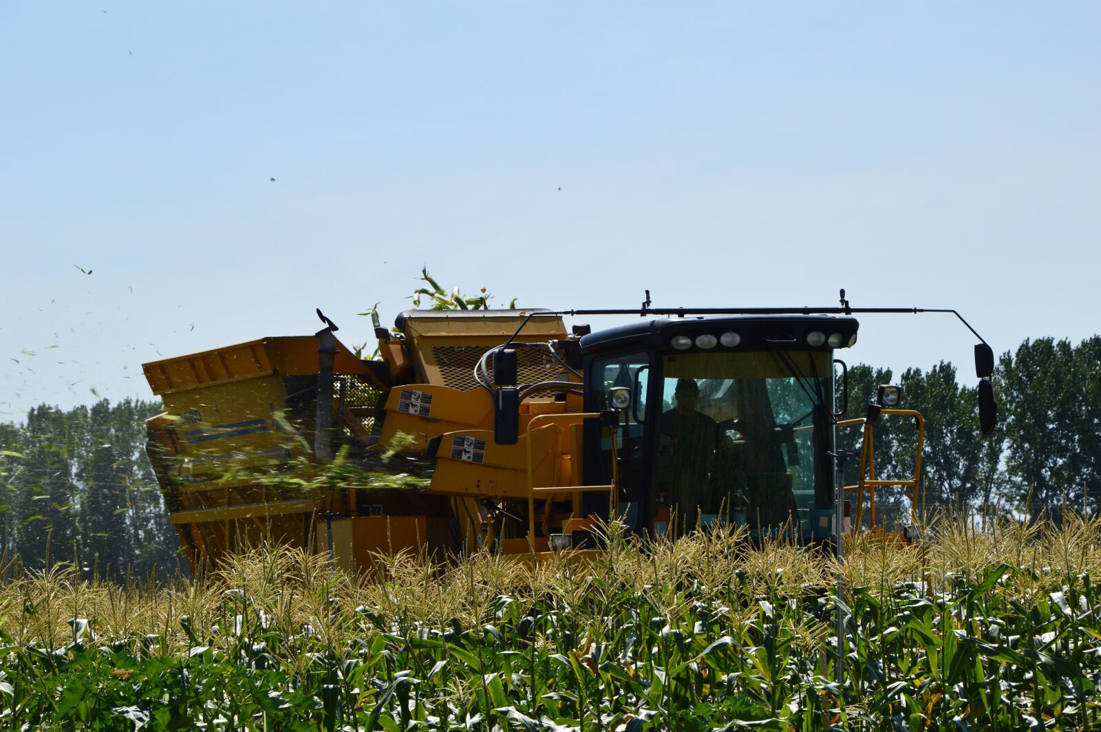 Nikon D3200 sample photo. Combine harvester, corn, agriculture photography