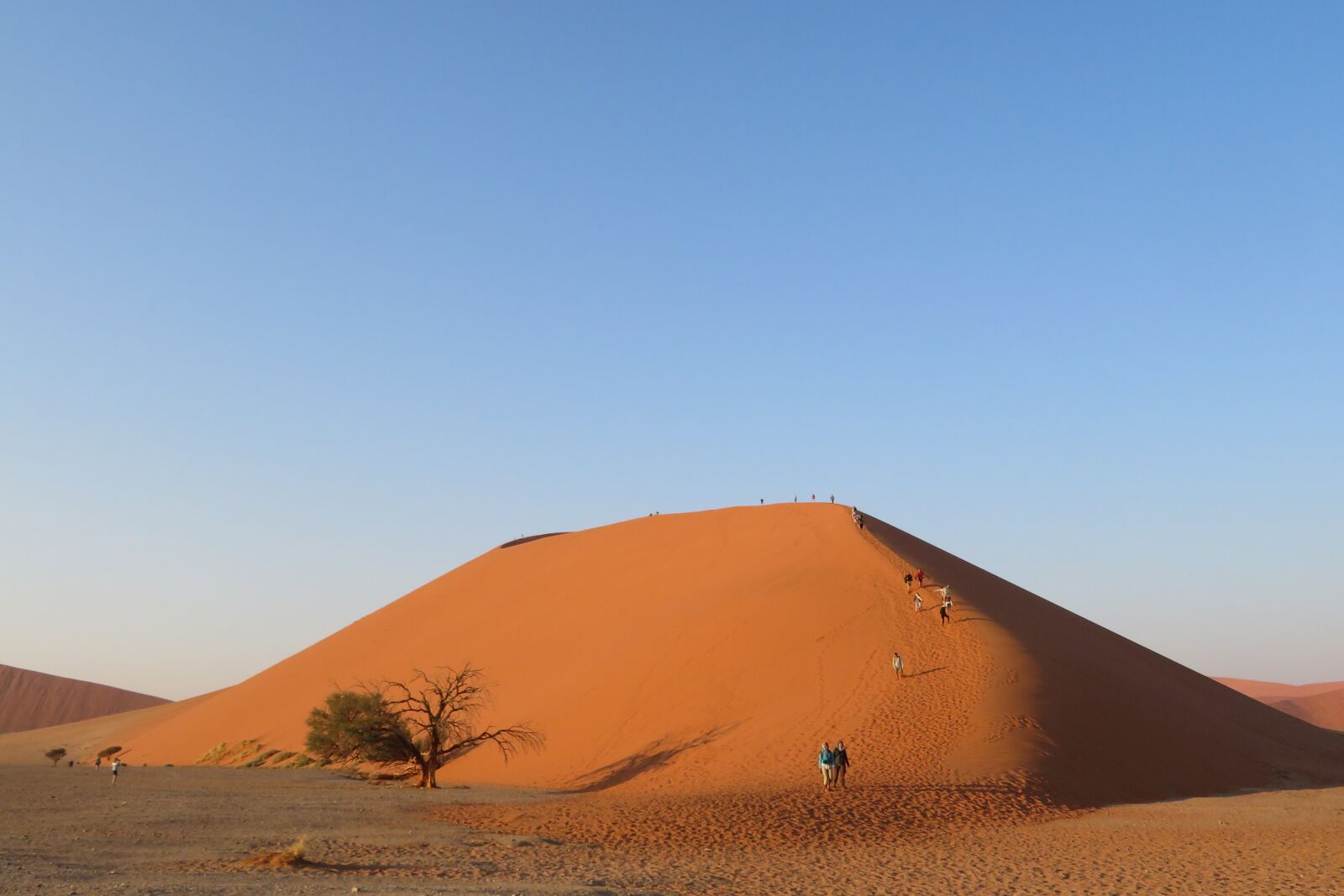 Canon PowerShot SX720 HS sample photo. Dune, 45, namibia photography