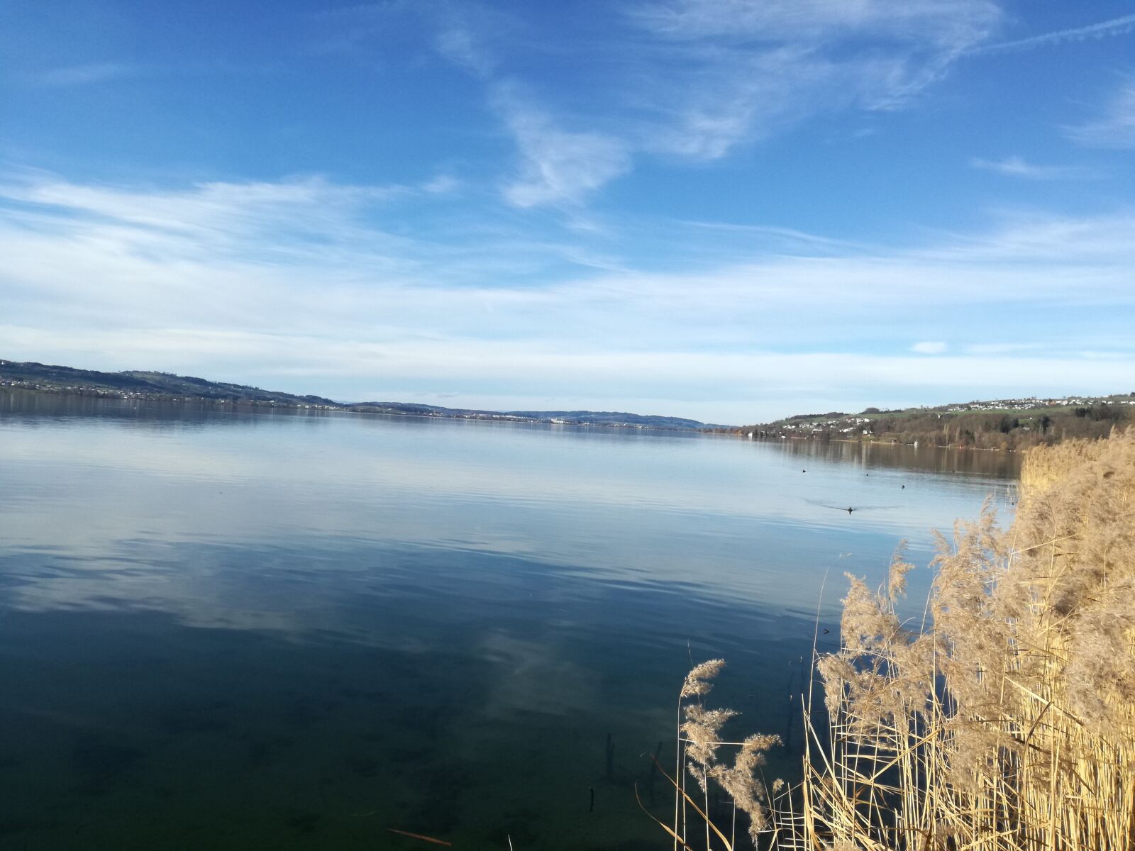 HUAWEI P9 LITE sample photo. Lake, switzerland, nature photography