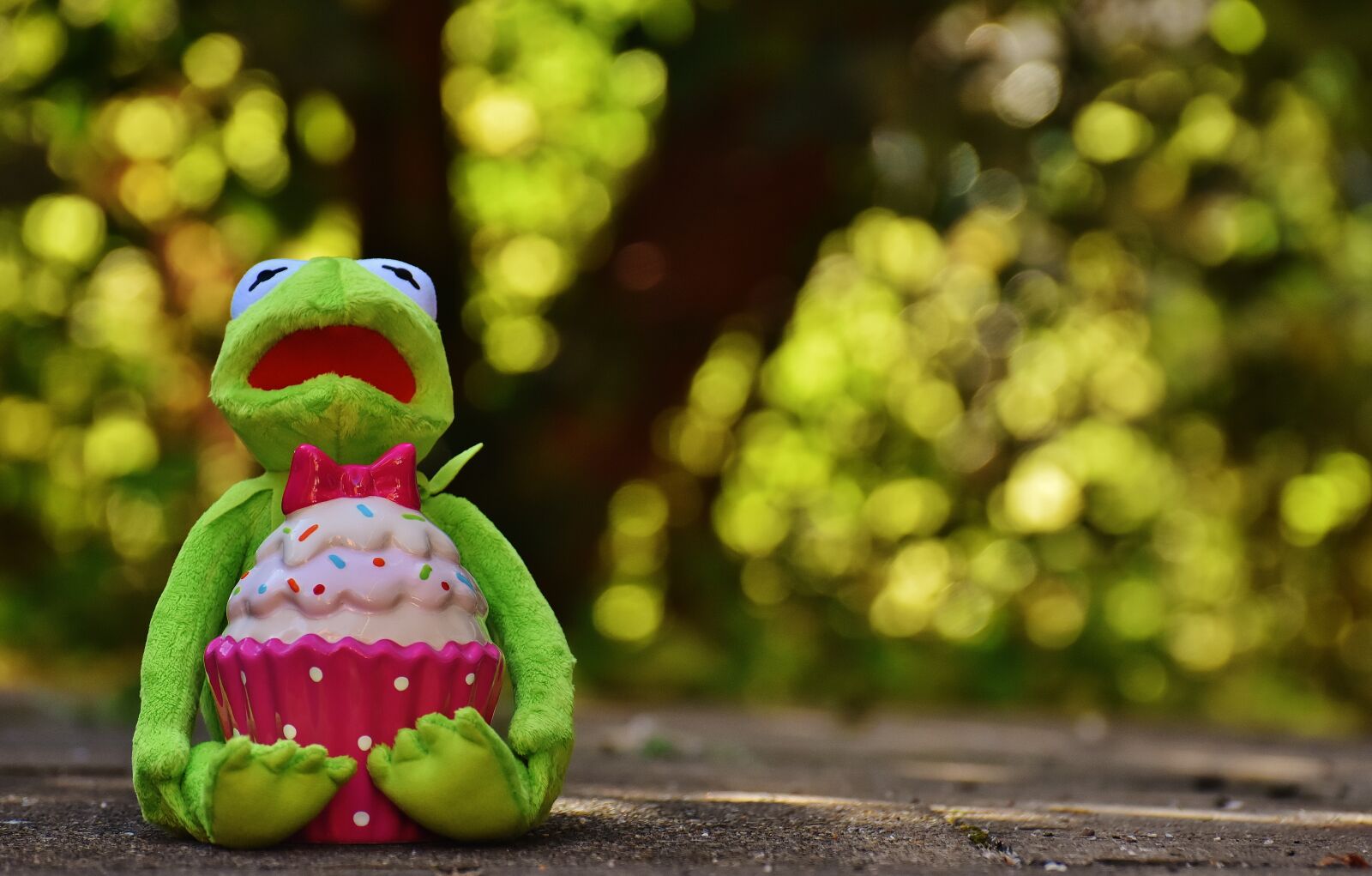Nikon D7200 sample photo. Kermit, frog, cupcake photography