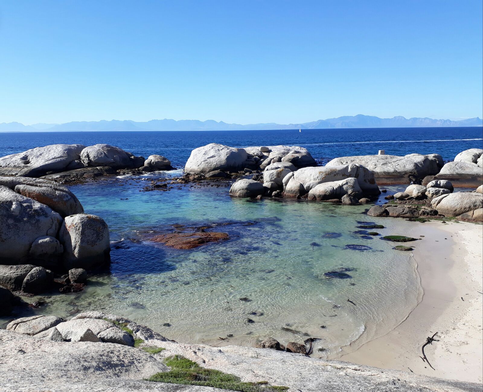 Samsung Galaxy A3(2017) sample photo. Boulders beach, cape town photography