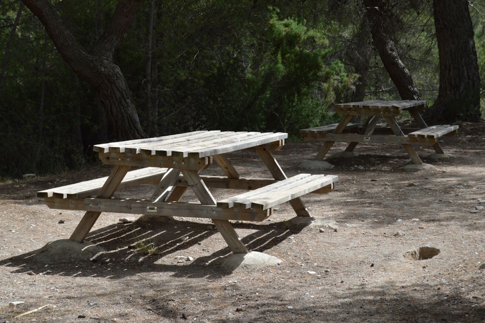 Nikon D3200 sample photo. Banks wood, rest, park photography