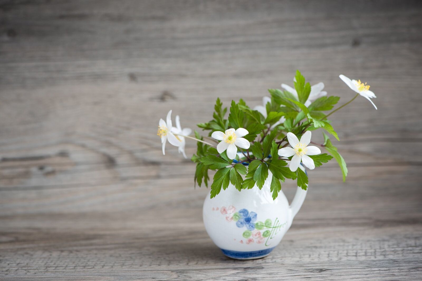 Nikon D750 sample photo. Bush-windr schen, ranunculaceae, anemone photography