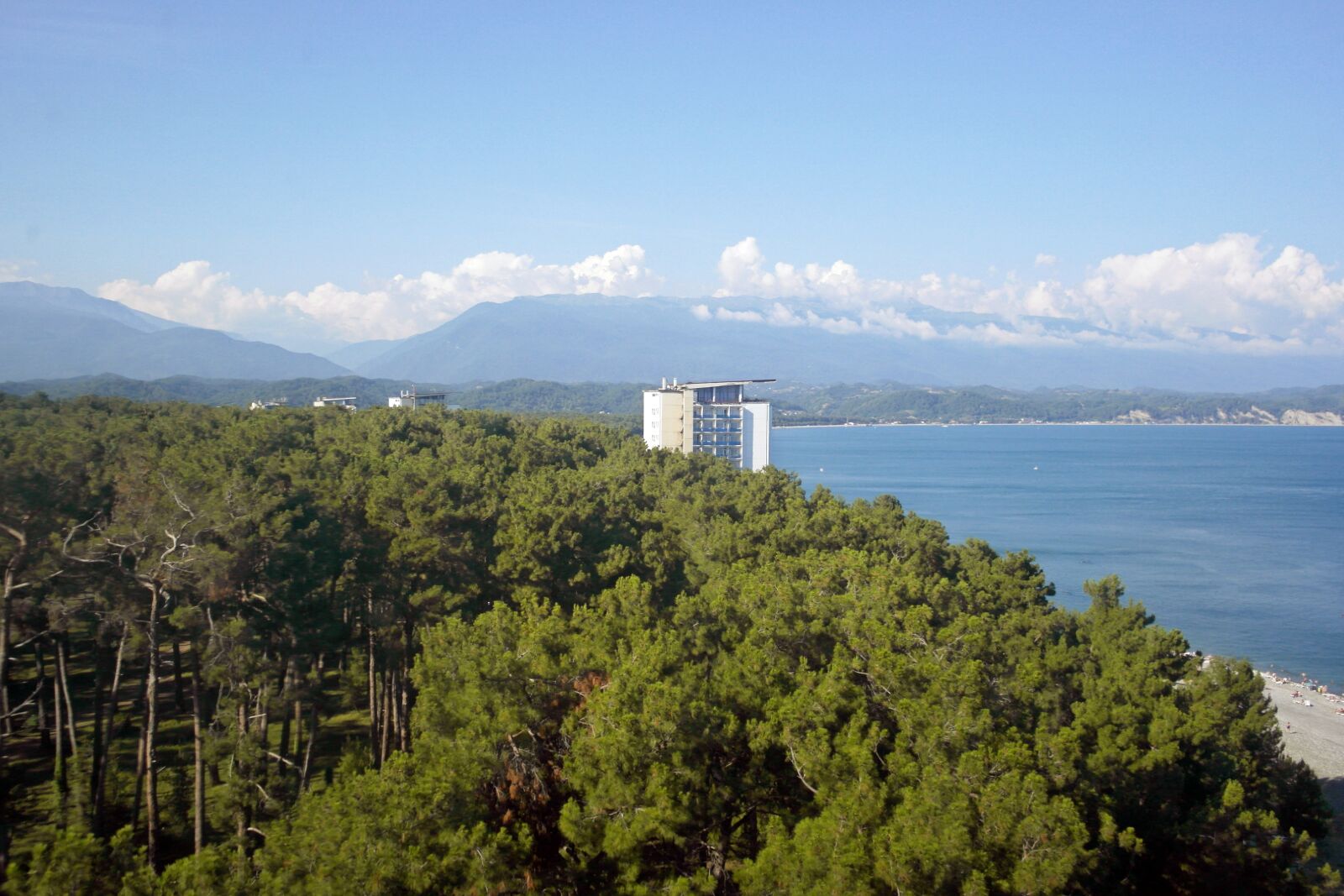Samsung NX1000 sample photo. Pitsunda, abkhazia, pine photography