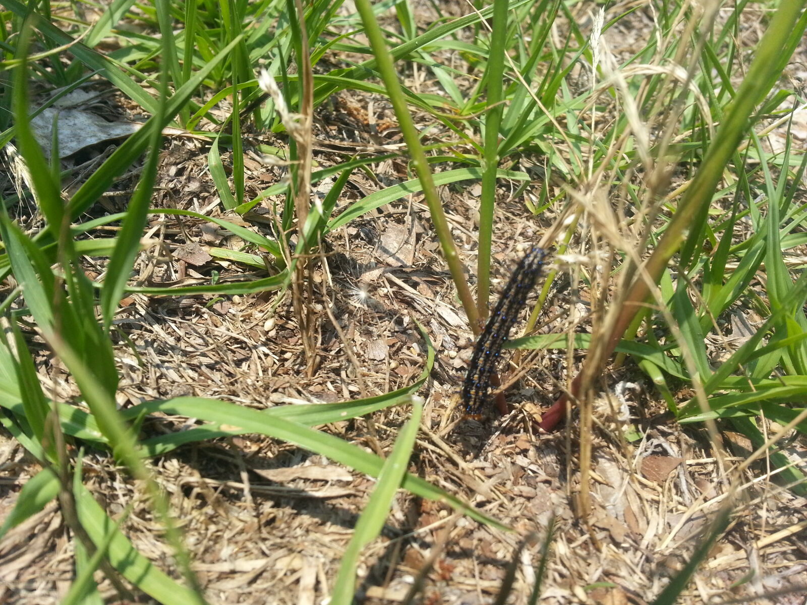 Samsung Galaxy Note2 sample photo