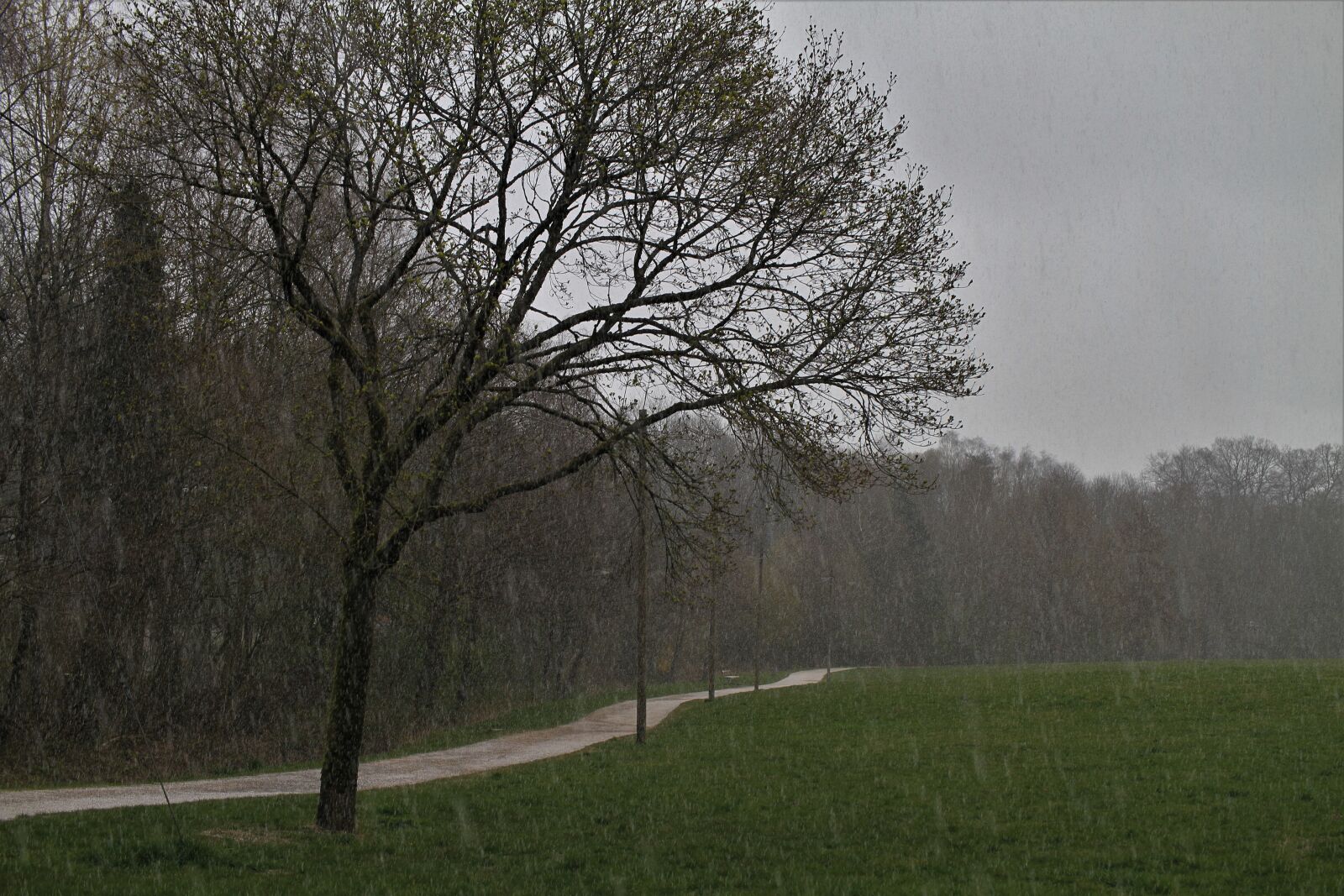 Canon EOS 7D sample photo. Sleet, rain, snow rain photography