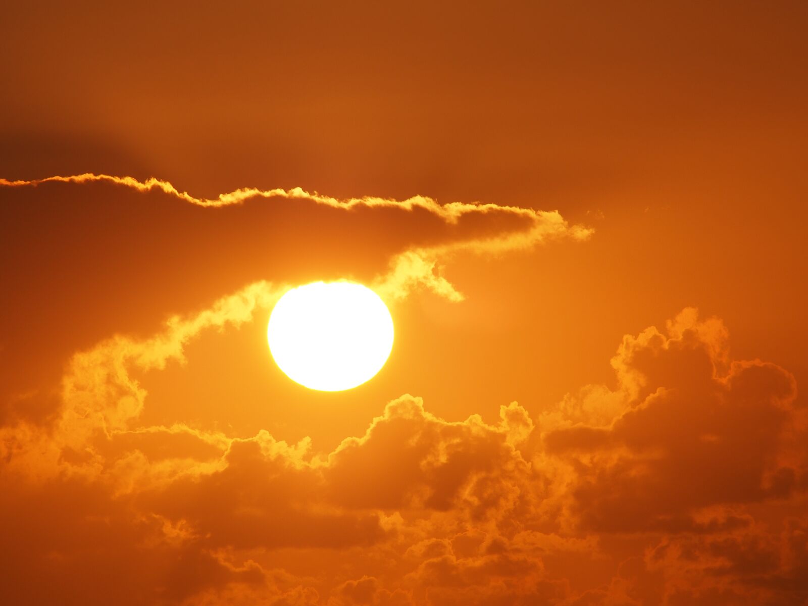 Olympus OM-D E-M5 sample photo. Sun, sunset, colorful sunset photography