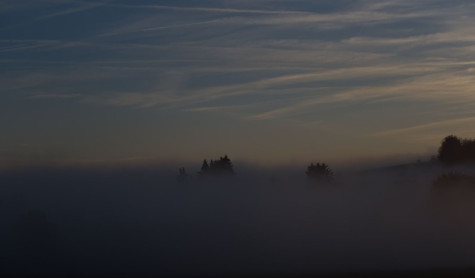 Nikon D5500 sample photo. Landscape, fog, nature photography