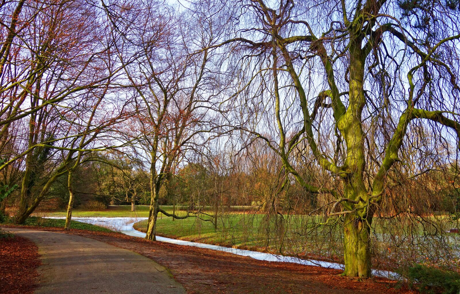 Sony Cyber-shot DSC-RX100 sample photo. Landscape, footpath, trees photography