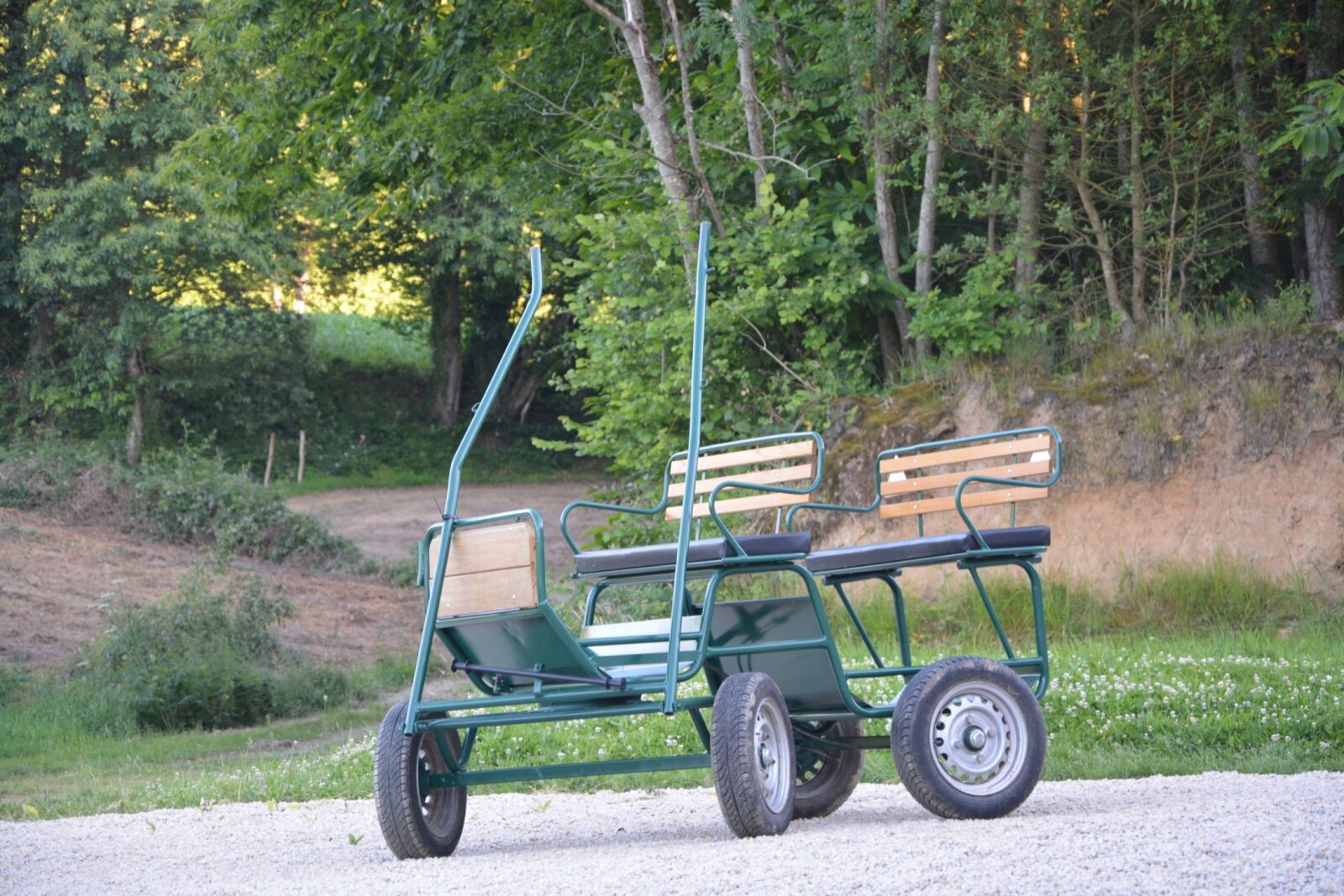 Nikon D5200 sample photo. Carriage, ride, park photography
