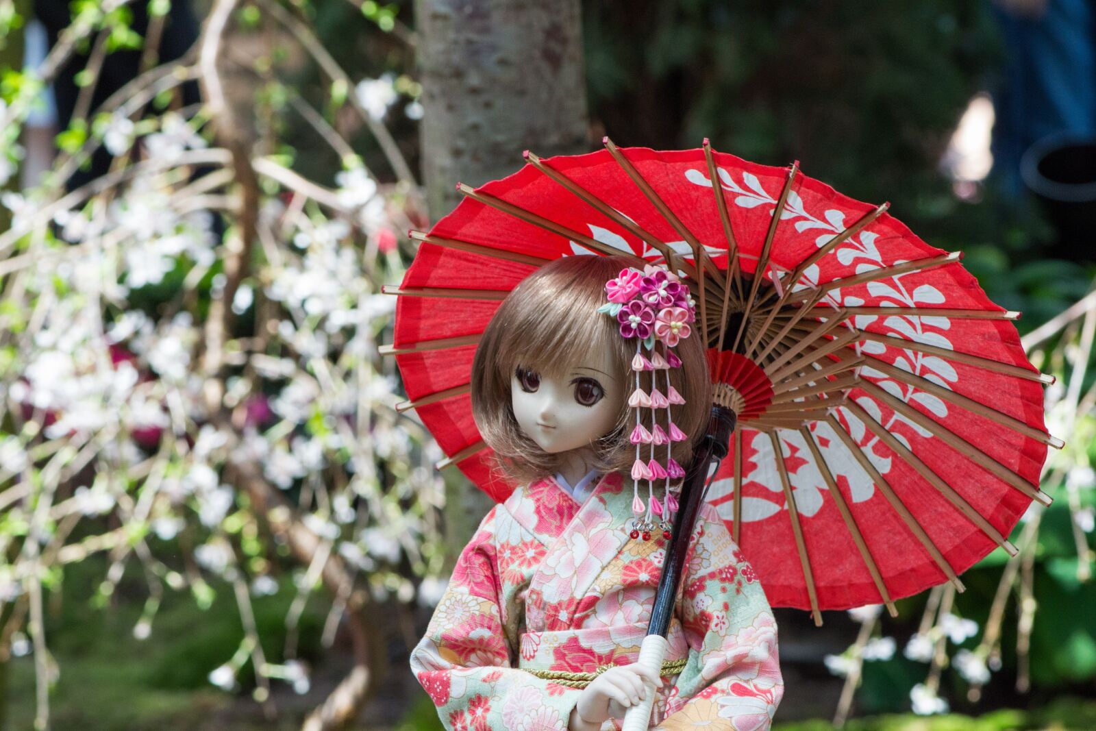 Nikon D3100 sample photo. Flower, nature, tree photography