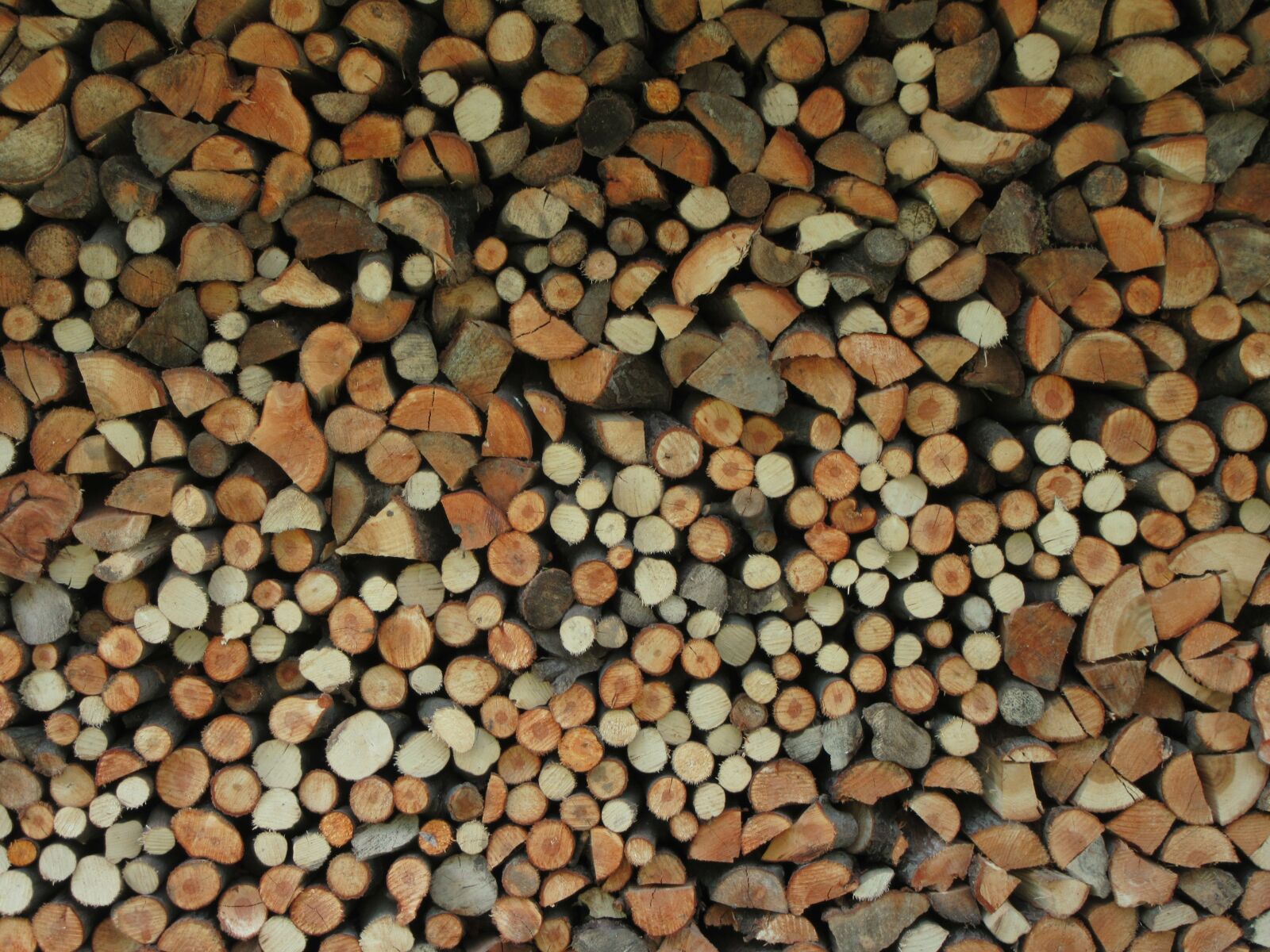 Canon PowerShot SX610 HS sample photo. Texture, wood, brown photography