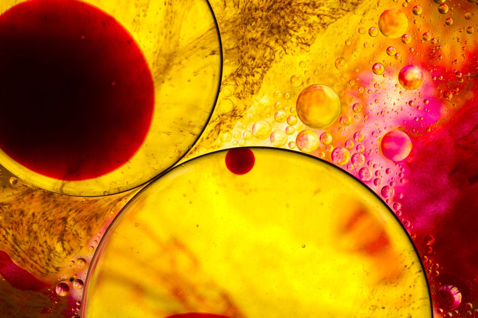 Pentax K-x sample photo. Abstract, water, oil photography
