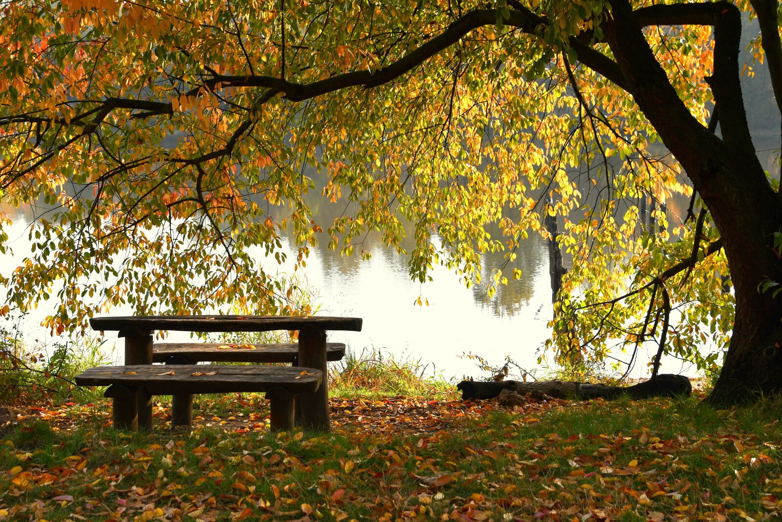 Nikon D7500 sample photo. Lake, bench, autumn photography