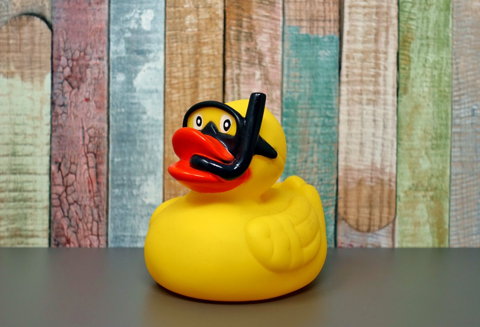 Sony DSC-RX100M5 sample photo. Rubber duck, divers, quietscheente photography