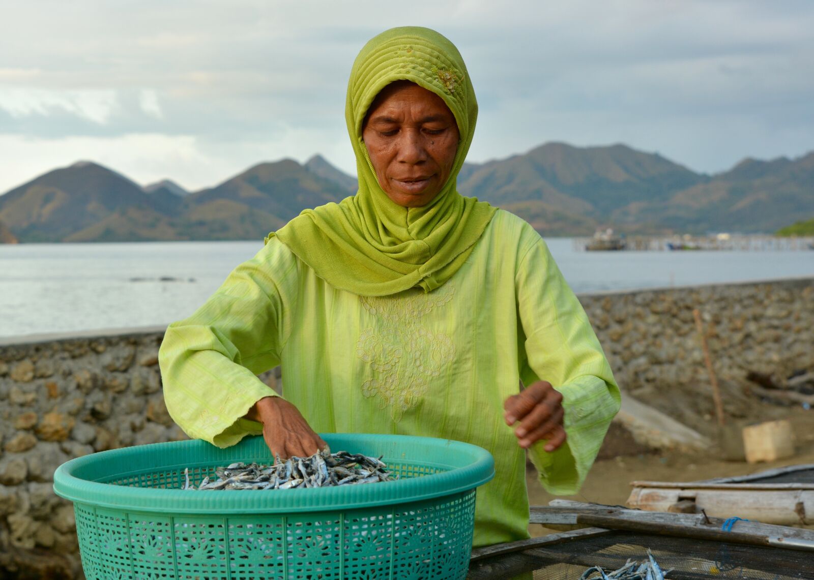 Nikon D7100 sample photo. Indonesia, visser, green photography