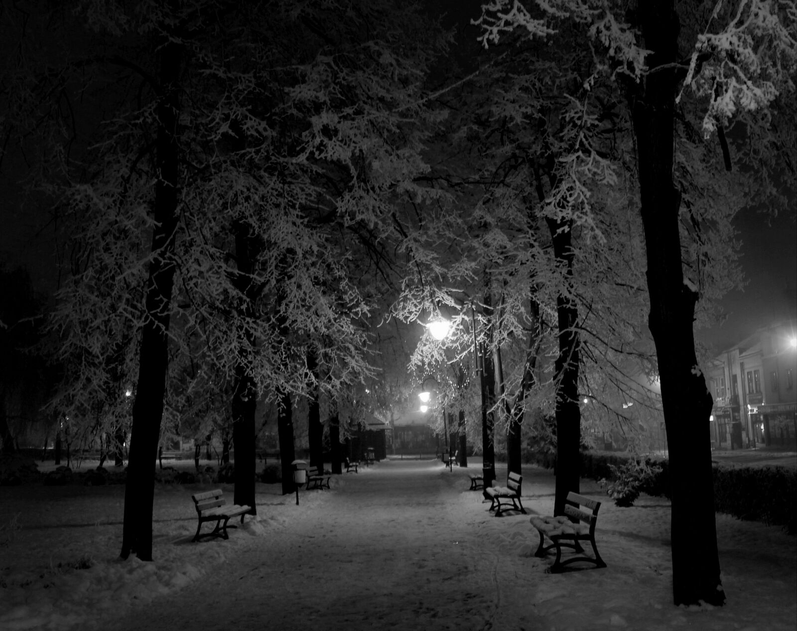 Canon EOS 1100D (EOS Rebel T3 / EOS Kiss X50) sample photo. Park, tree, winter photography