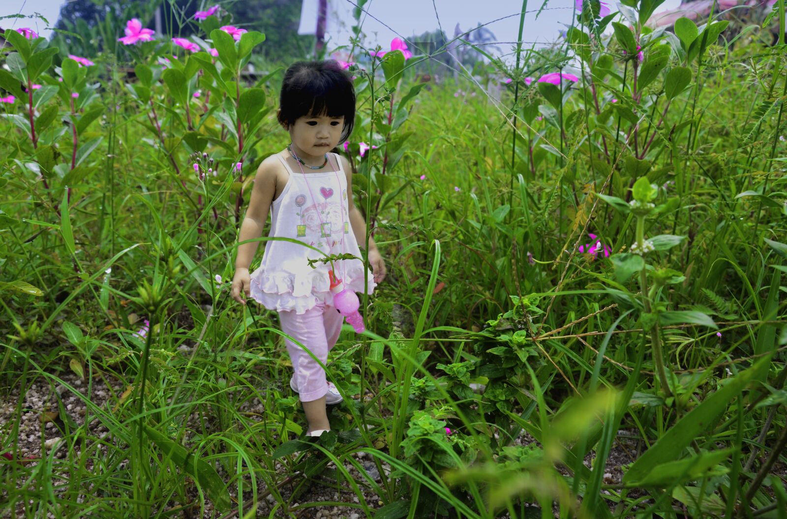 Nikon D7000 sample photo. Child, asian, girl photography