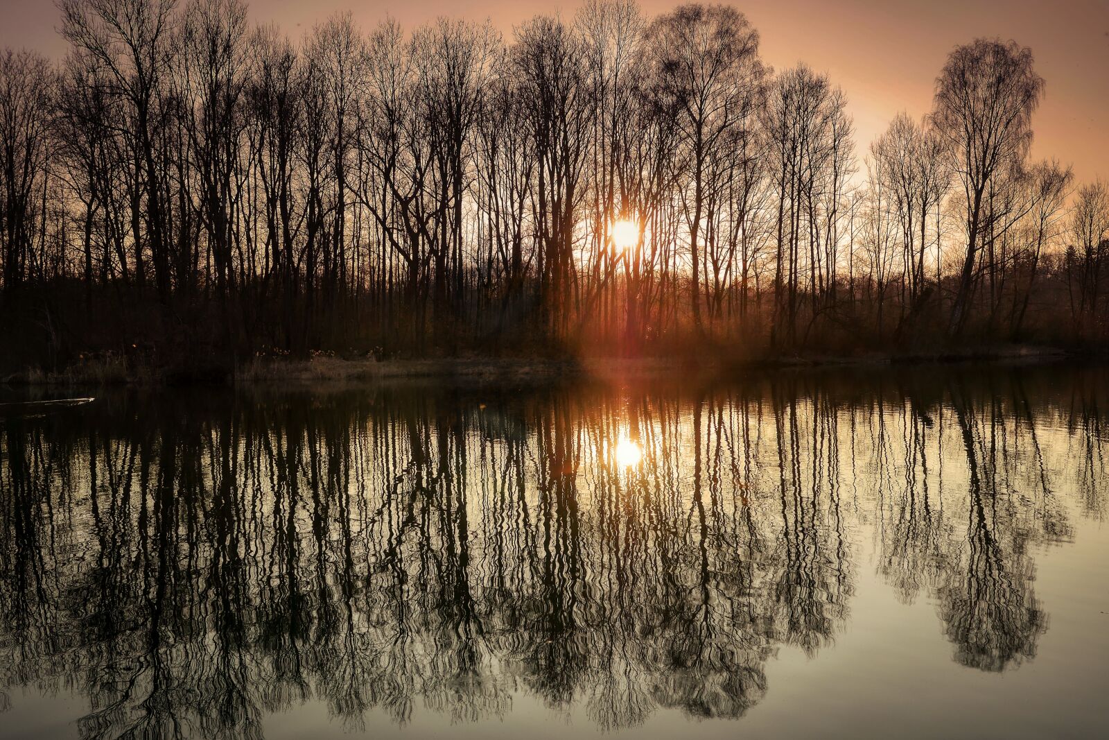 Panasonic Lumix DMC-GX8 sample photo. Lake, mirroring, water photography