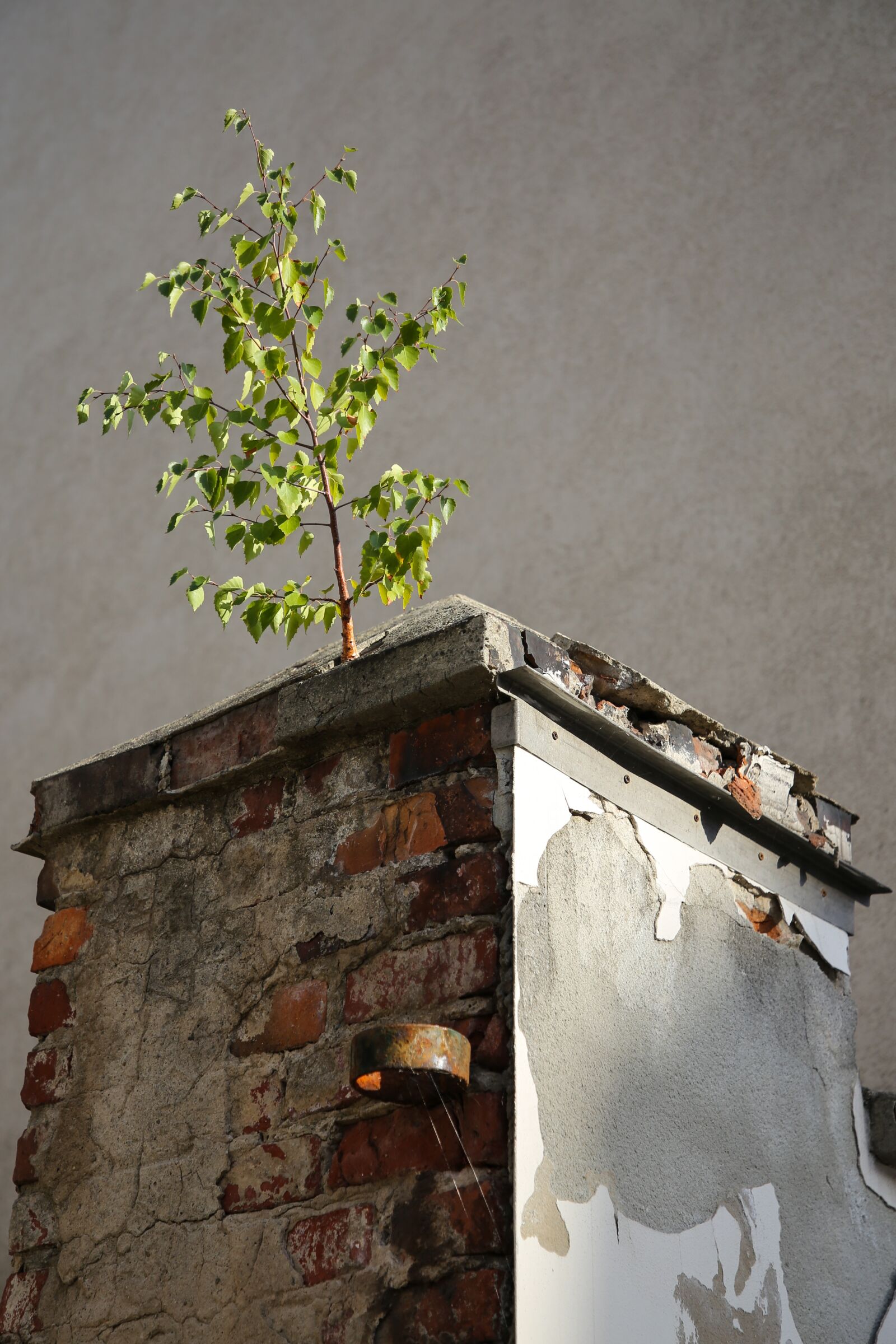 Canon EF 24-105mm F4L IS II USM sample photo. Decay, ruin, masonry photography