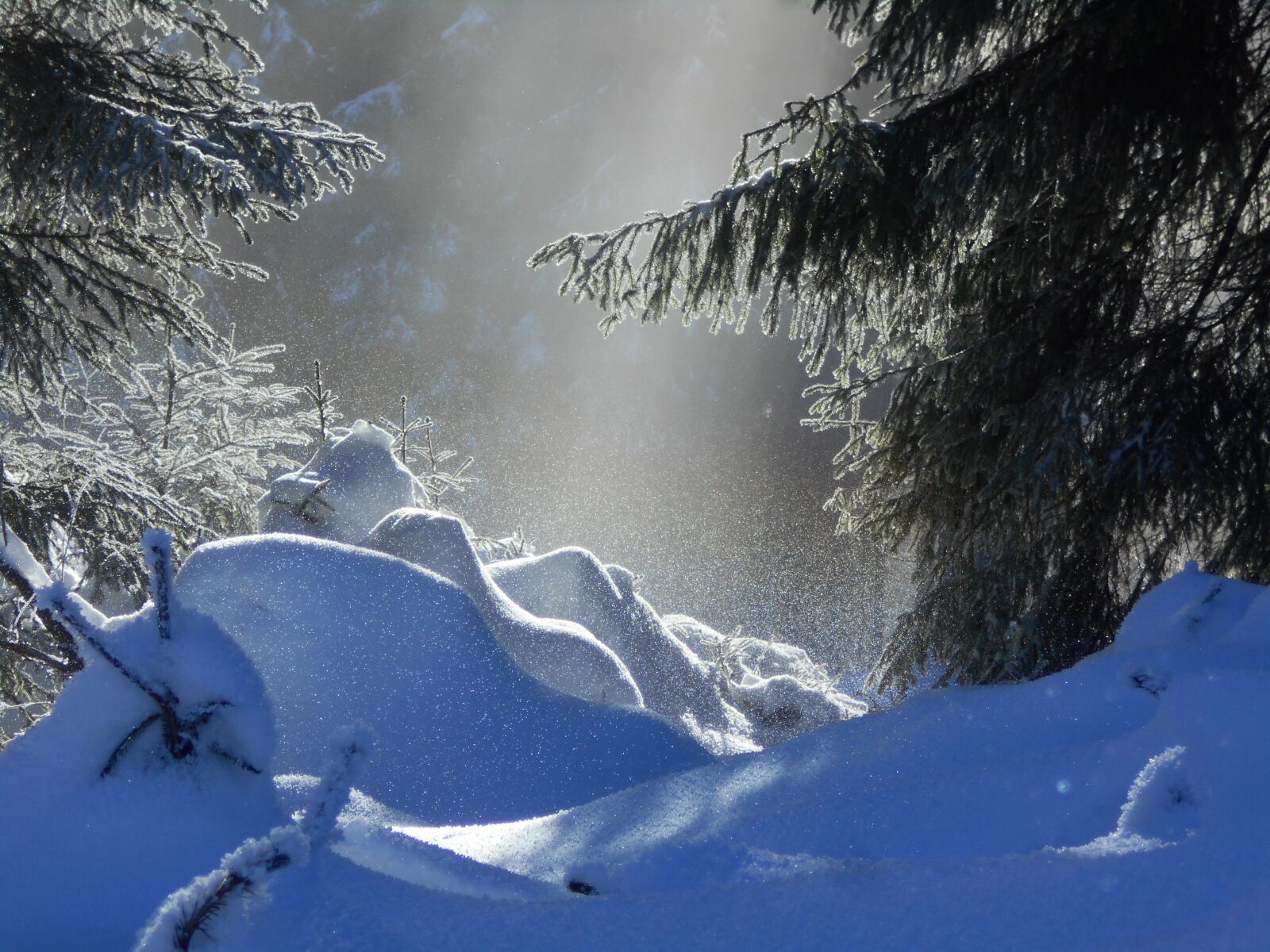 Nikon COOLPIX S2800 sample photo. Snow, light, nature photography