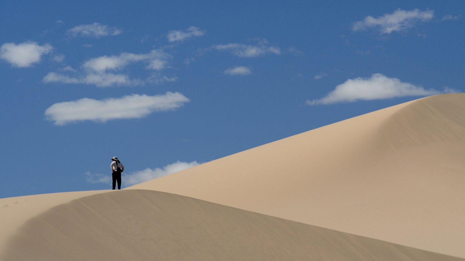Nikon D300 sample photo. Mongolia, desert, sand dunes photography
