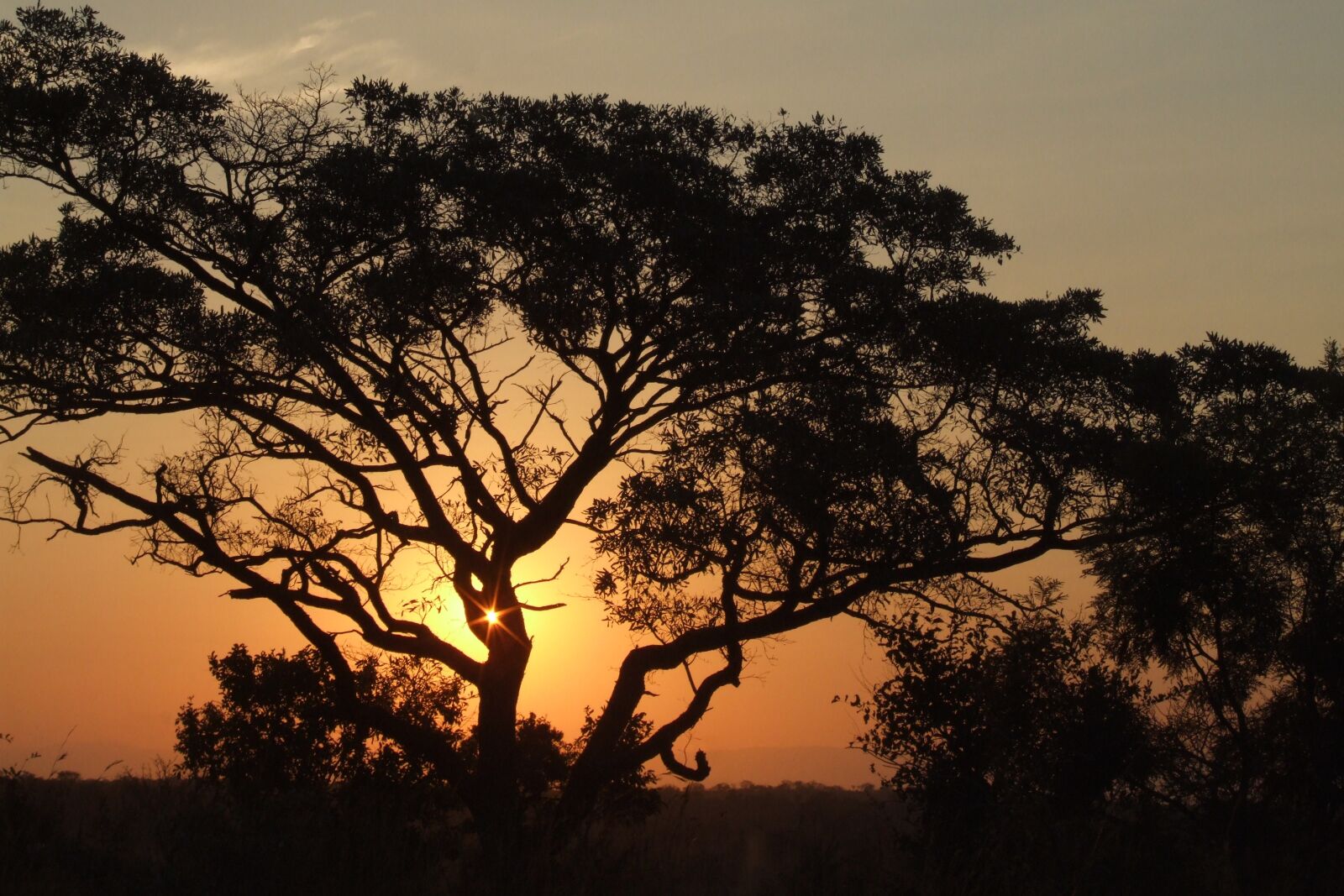 Fujifilm FinePix S9600 sample photo. Africa, sunset, nature photography