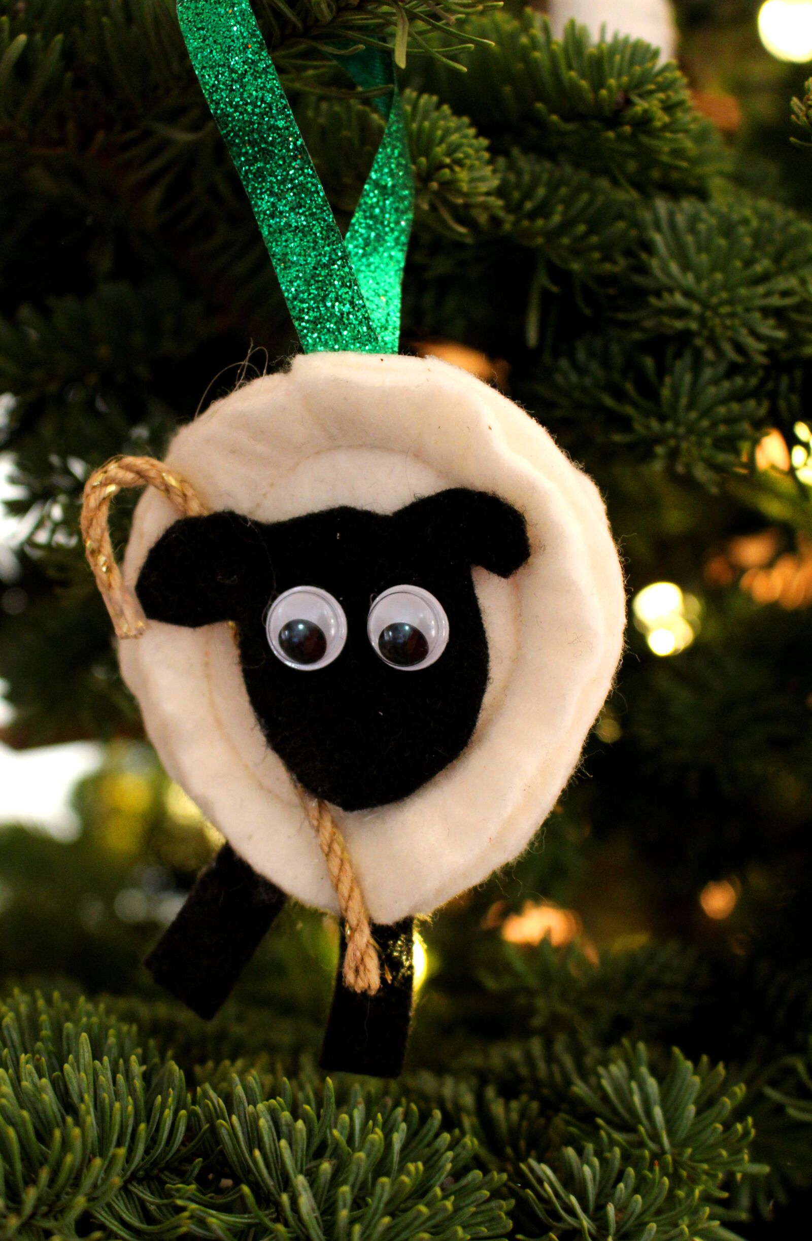 Canon EOS 700D (EOS Rebel T5i / EOS Kiss X7i) sample photo. Lamb, good shepherd, christmas photography