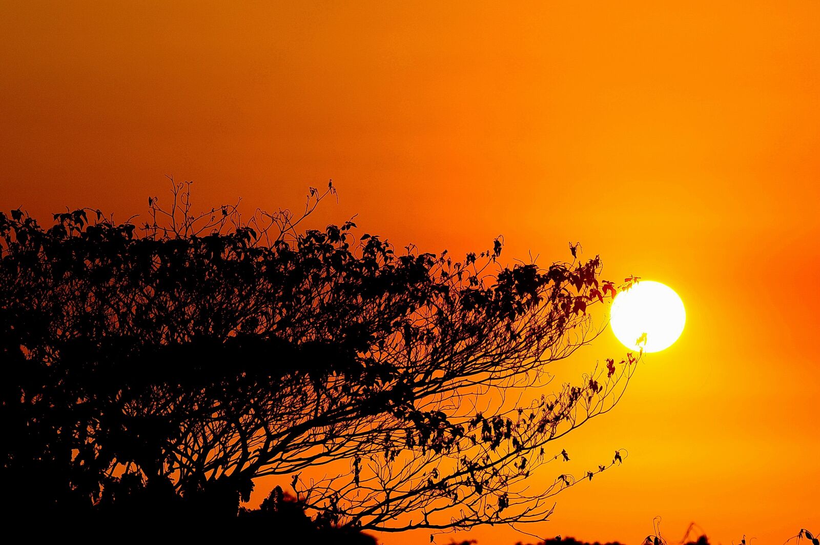 Nikon D300S sample photo. Great prints philippines, george photography