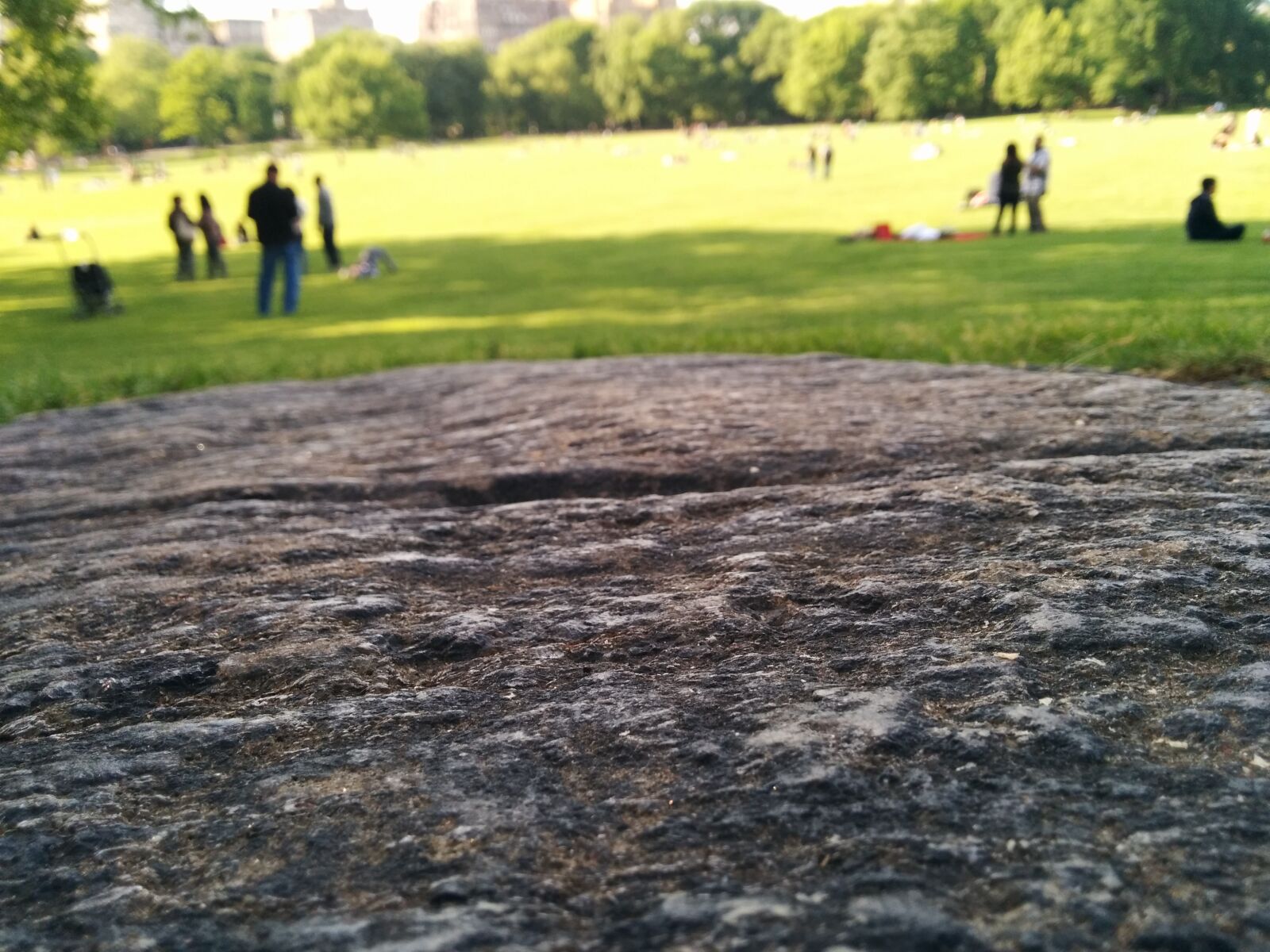 LG Nexus 5 sample photo