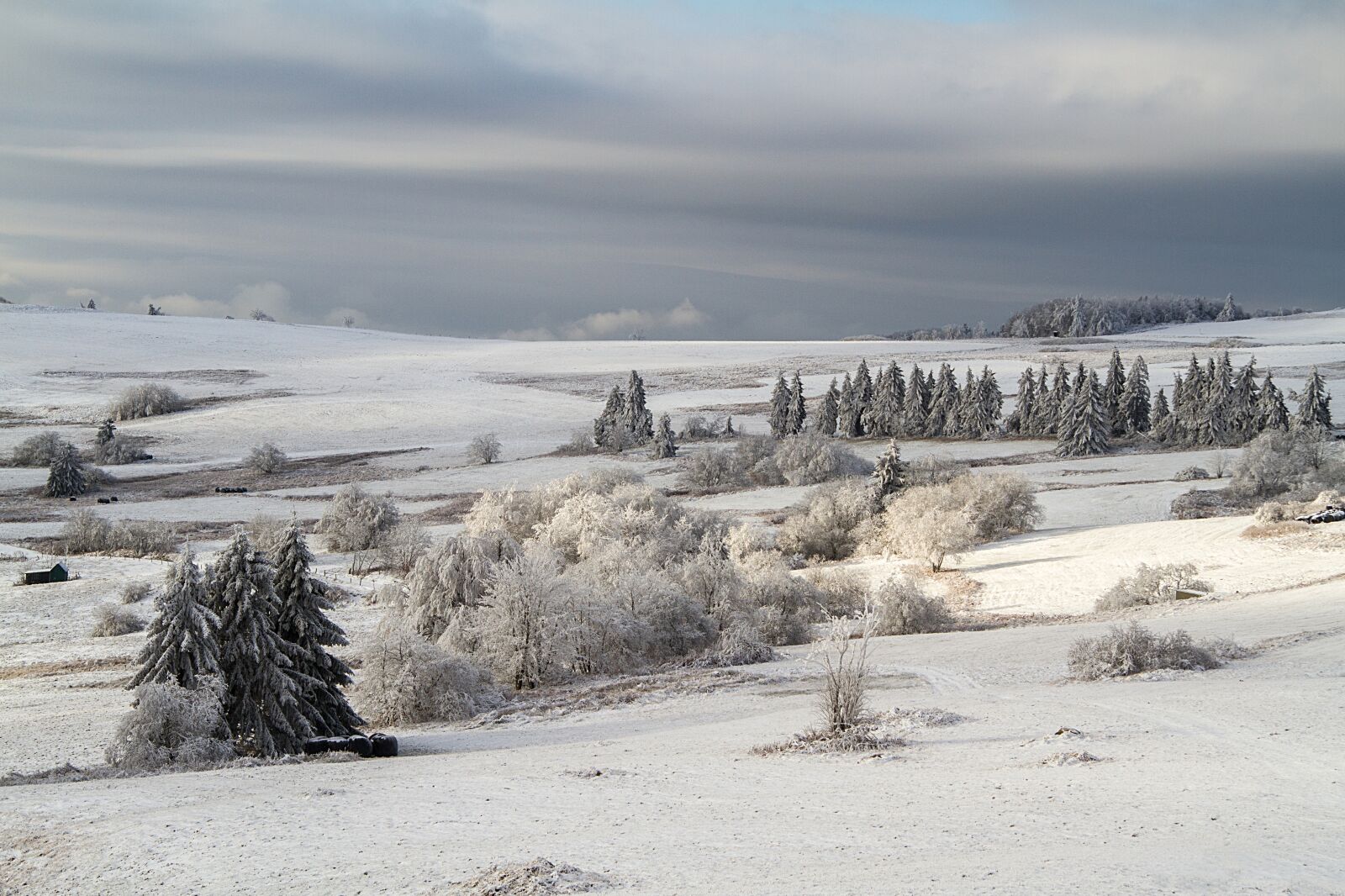 Canon EOS 7D sample photo. Winter, snow, wintry photography