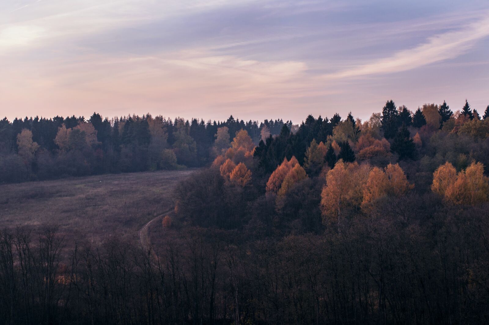 Nikon D90 sample photo. Autumn, landscape, nature photography