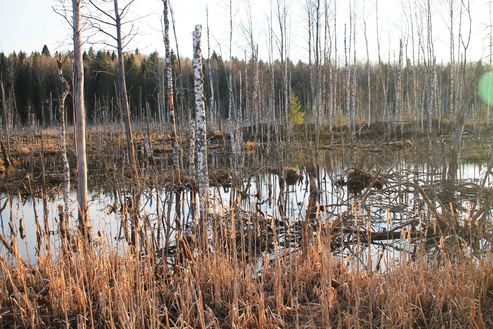 Canon EOS 1100D (EOS Rebel T3 / EOS Kiss X50) sample photo. Landscape, lake, nature photography