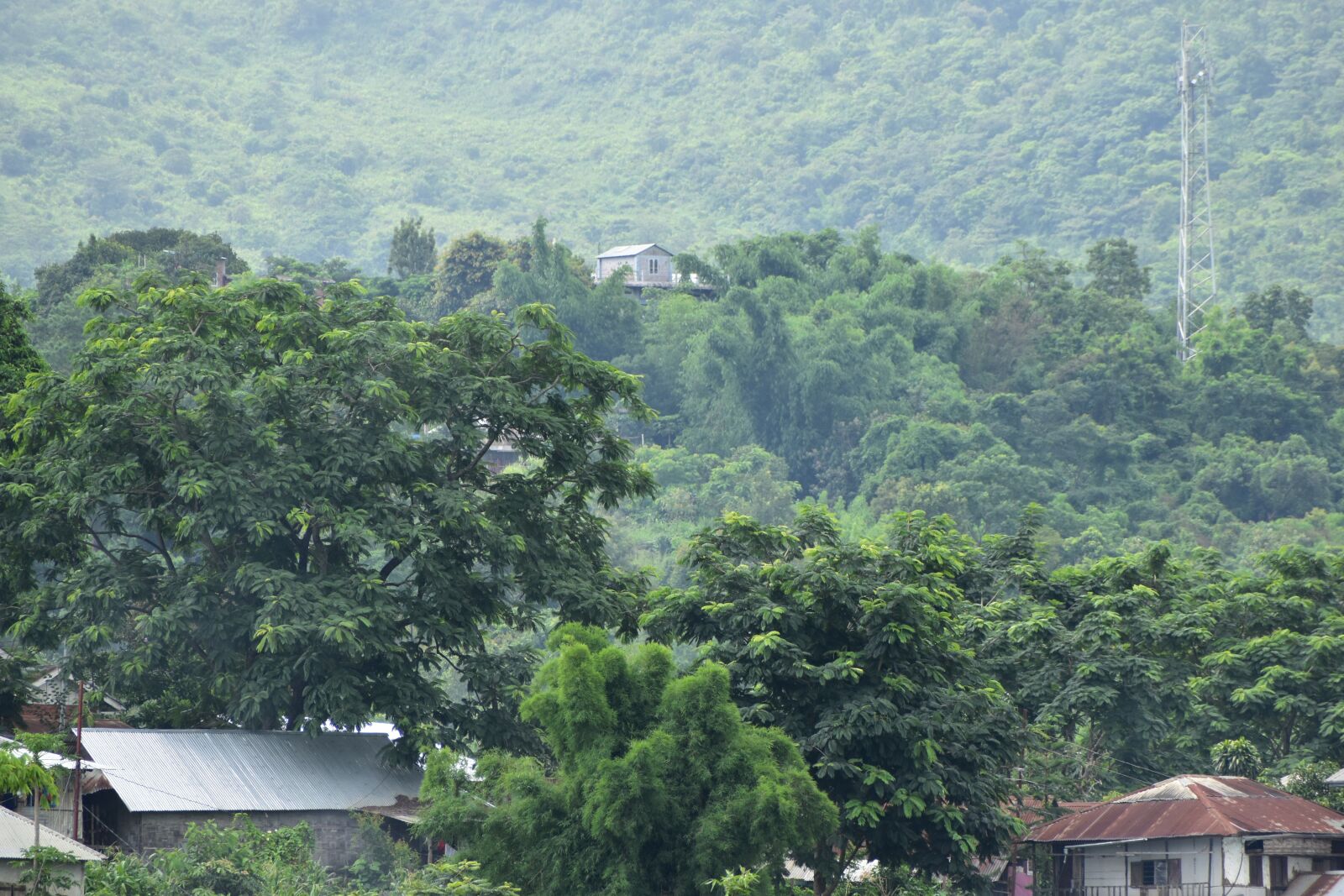 Nikon D5600 sample photo. House, hillside, village photography