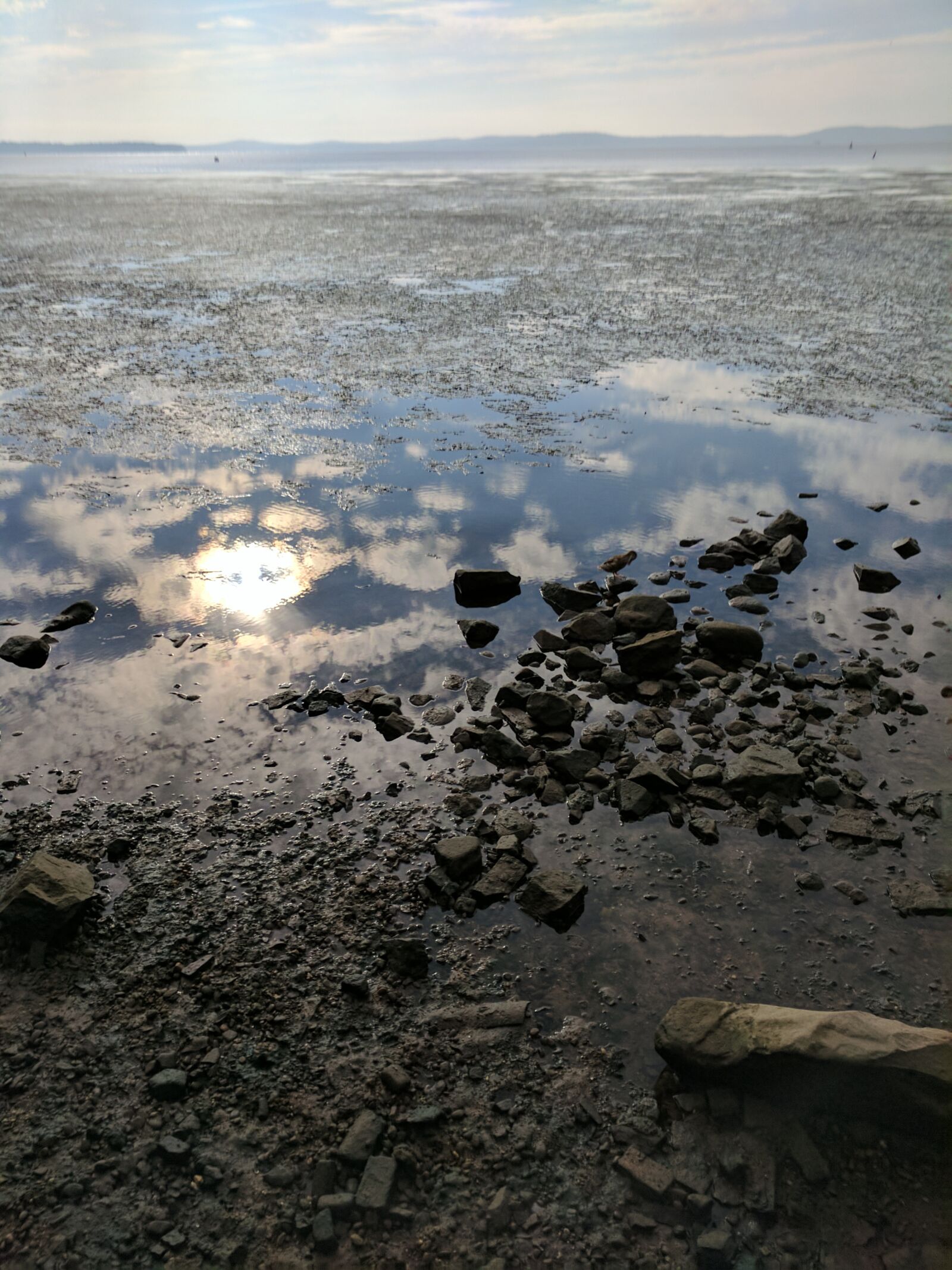 Google Pixel sample photo. Chesapeake bay, low tide photography