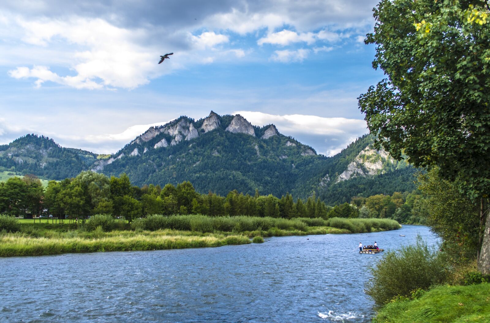 Nikon D5100 sample photo. Mountains, river, landscape photography