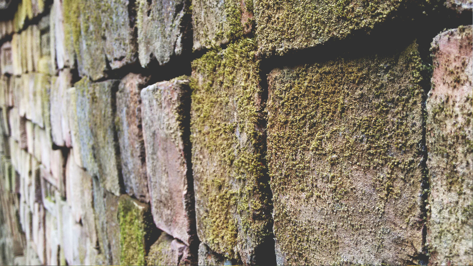 Motorola Moto G (2nd Gen) sample photo. Awesome, bricks, focused, grass photography