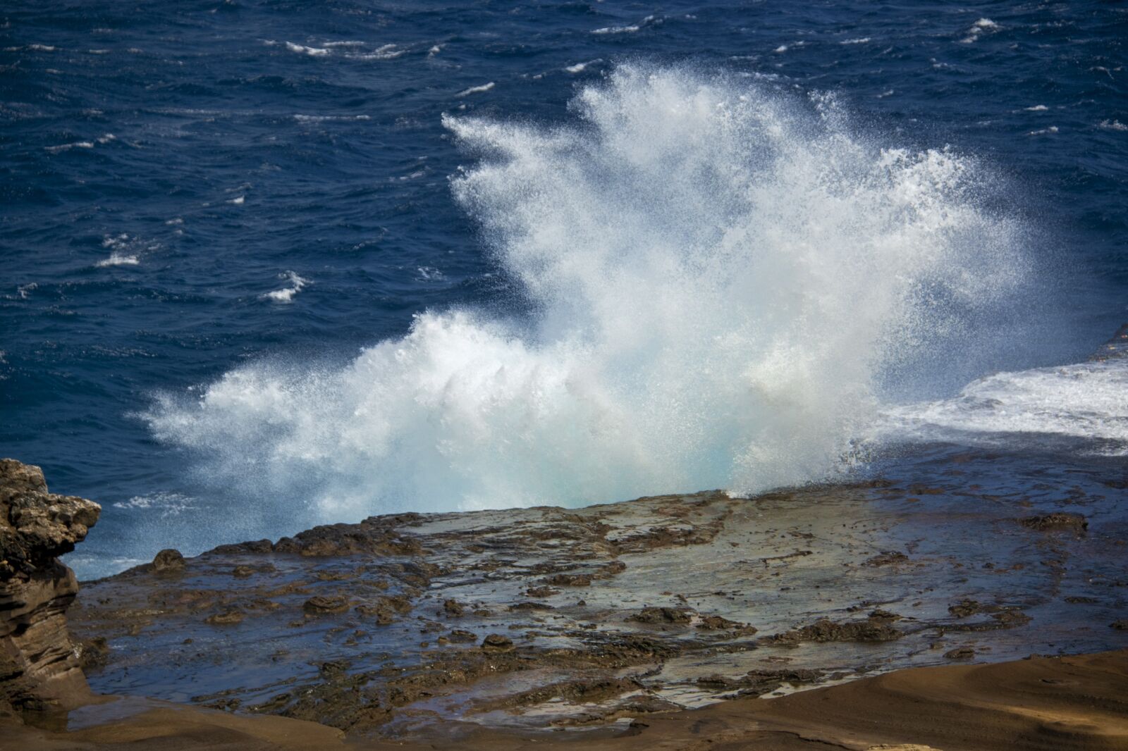 Nikon D850 sample photo. Ocean, pacific, hawaii photography