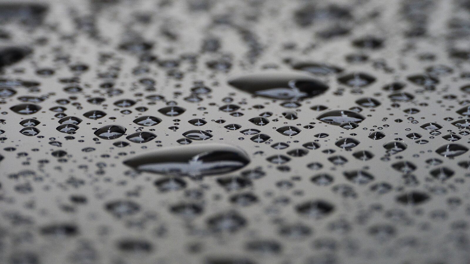 Panasonic Lumix DMC-GH3 sample photo. Non, raindrops, water photography