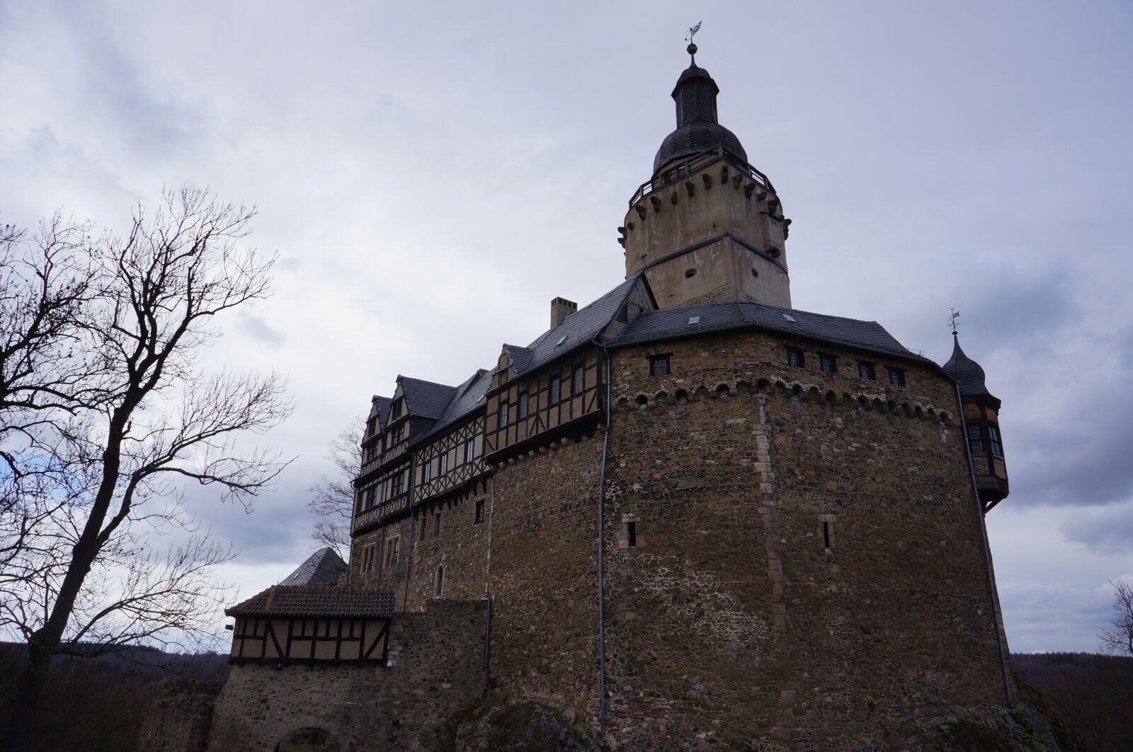 Sony Alpha NEX-5N + Sony E 16mm F2.8 sample photo. Castle, falkenstein, resin photography