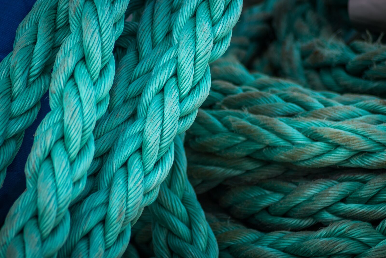 Canon EOS 700D (EOS Rebel T5i / EOS Kiss X7i) sample photo. Rope, dew, knot photography