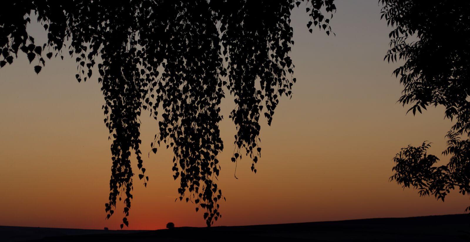 Nikon D5500 sample photo. Morning, sunrise, landscape photography