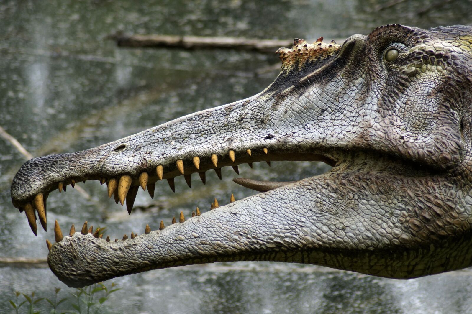Sony SLT-A58 sample photo. Dinosaur, forest, tooth photography