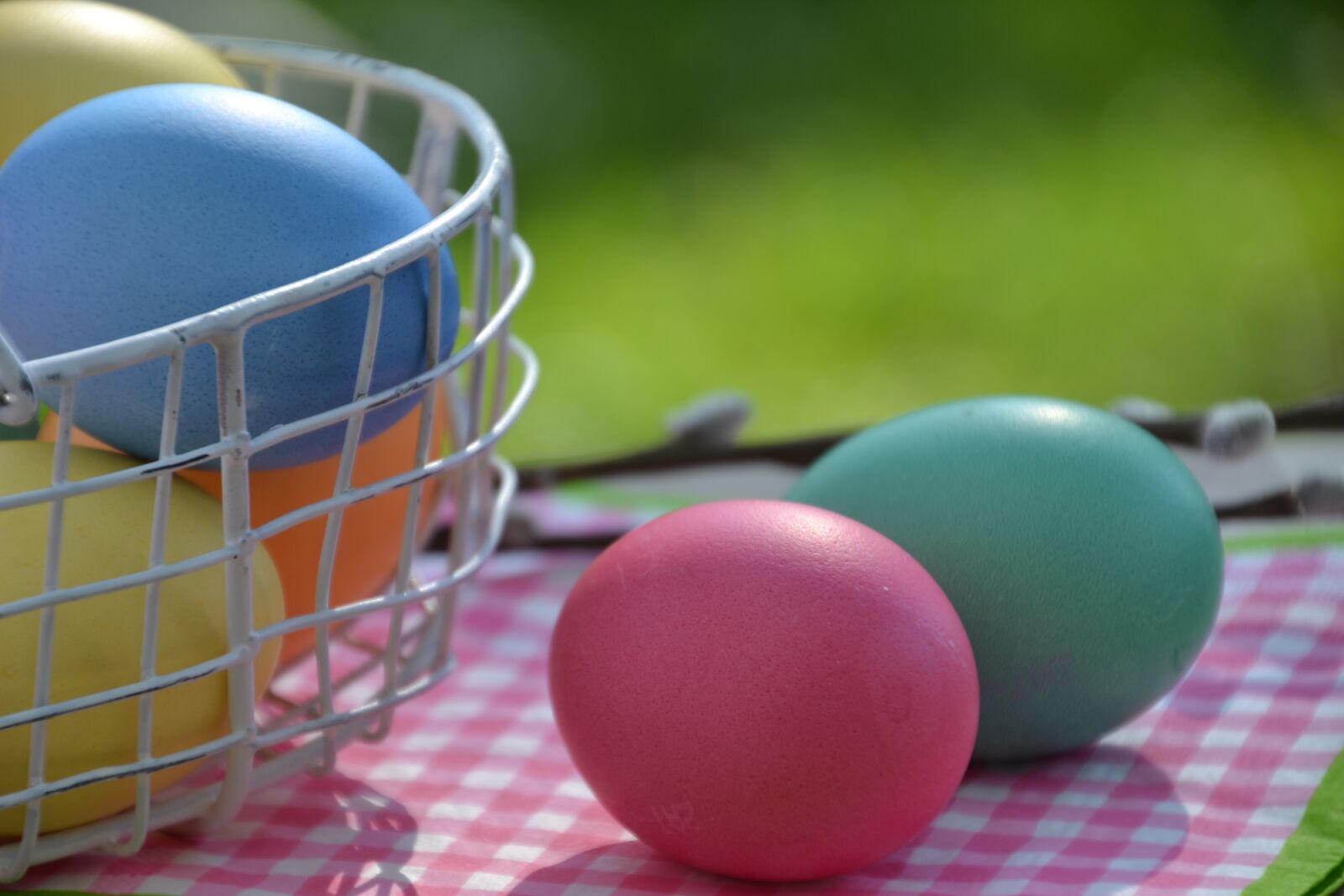 Nikon D3100 sample photo. Egg, easter egg, colored photography