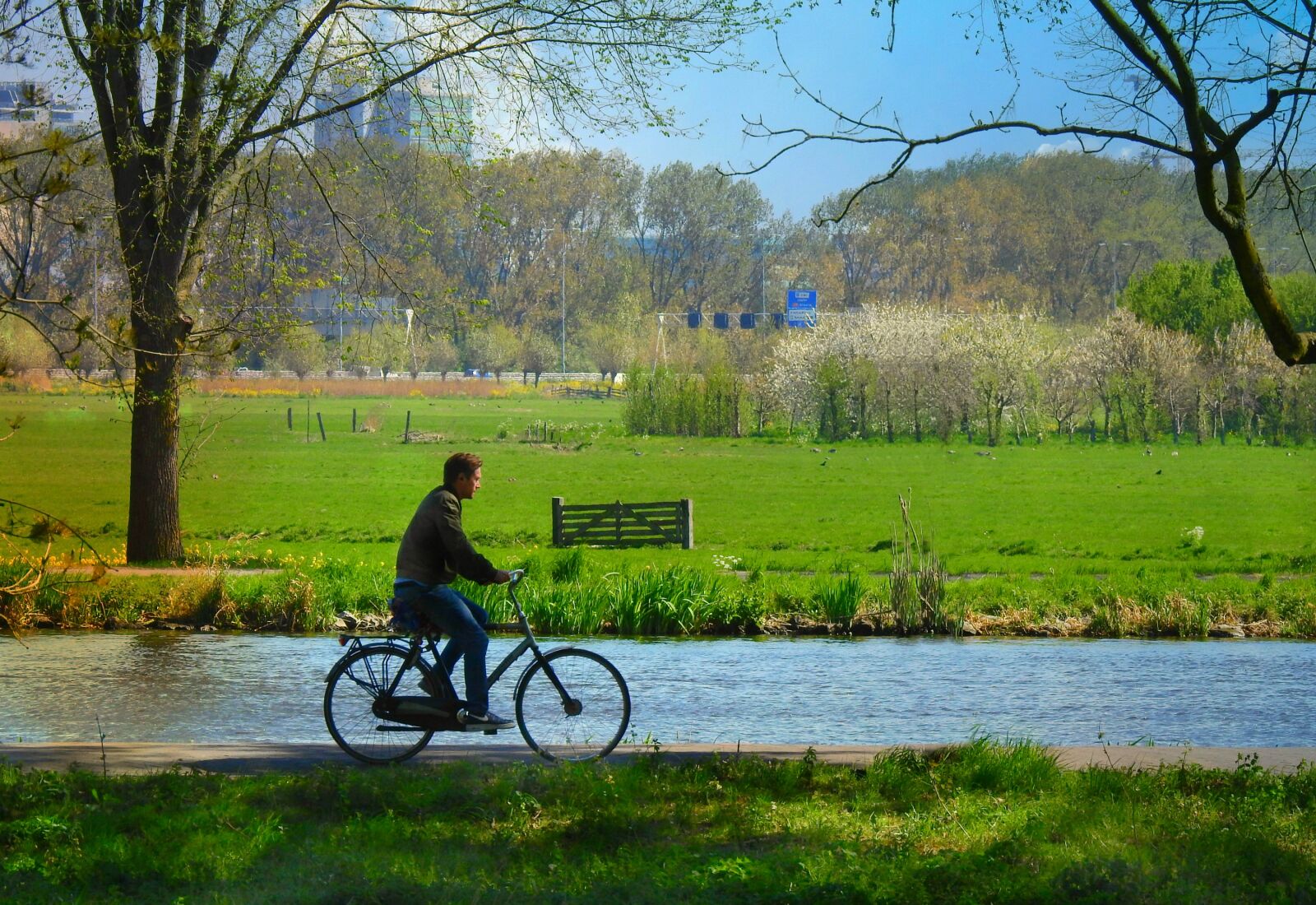 Nikon Coolpix P900 sample photo. Cyclist, bicycle ride, transport photography